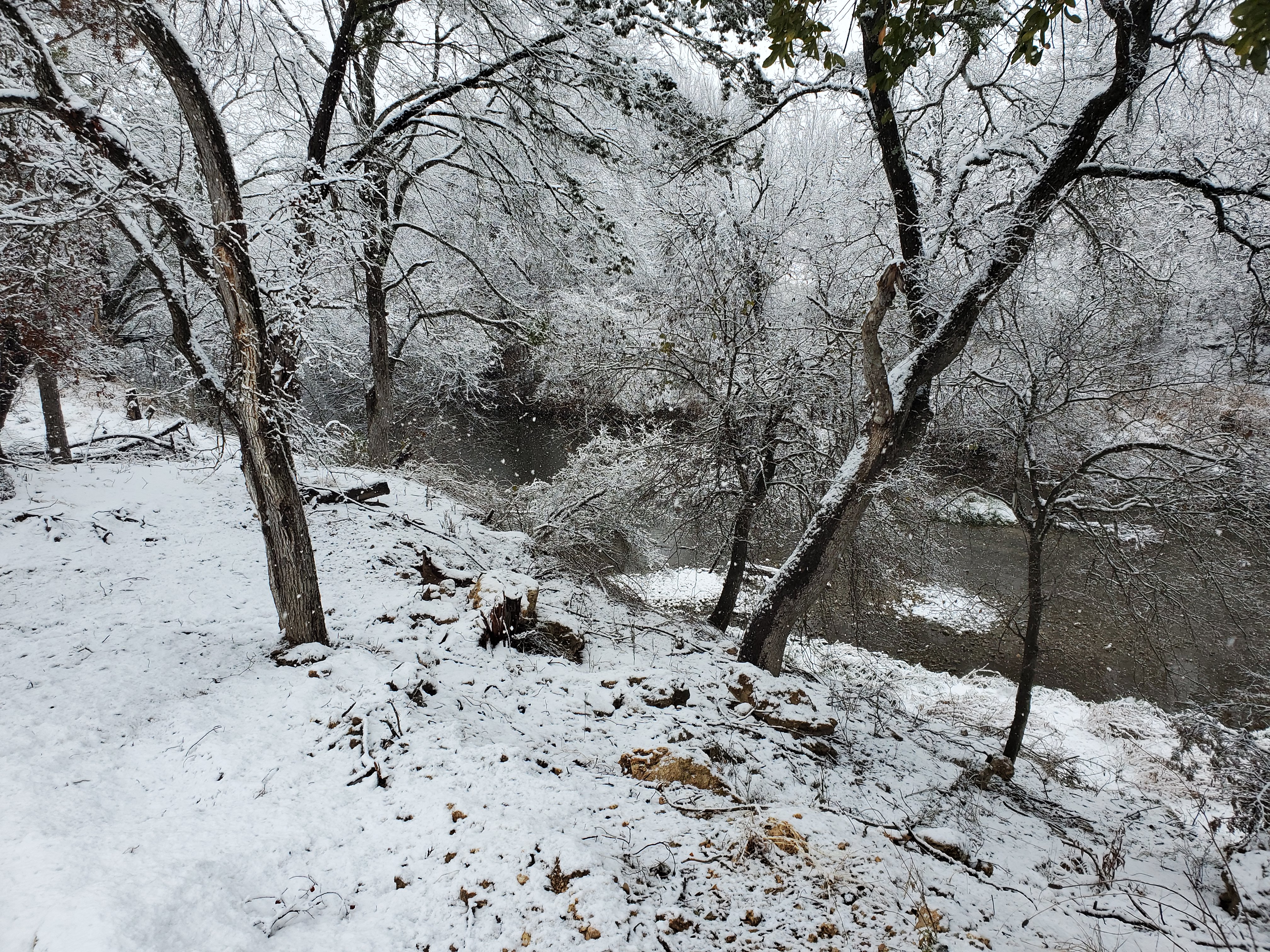 NetObjects Fusion 2015